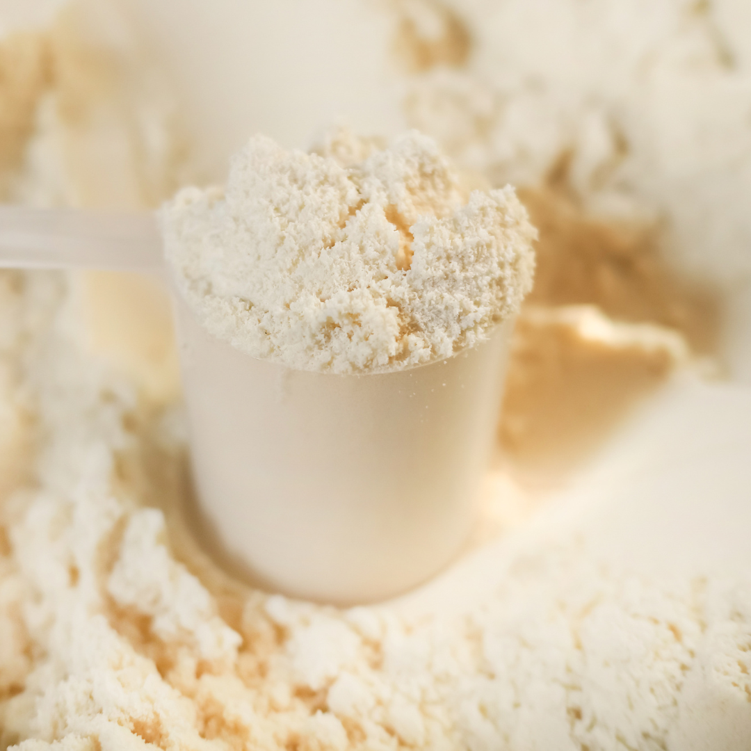Plant Protein - Vanilla